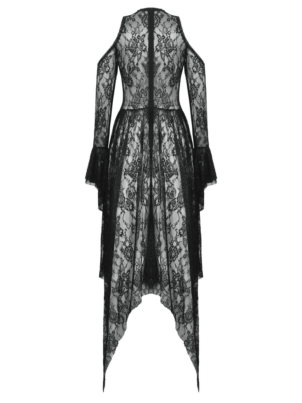 Female Gothic Lace Overlay Maxi Dress with Sleeves