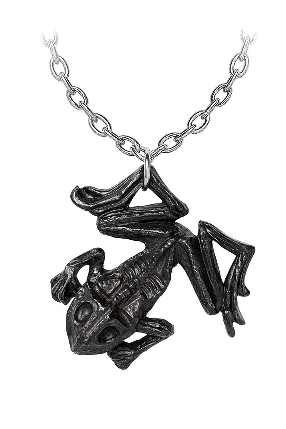Gothic Dead Frog Talisman Pendant with Pewter Chain