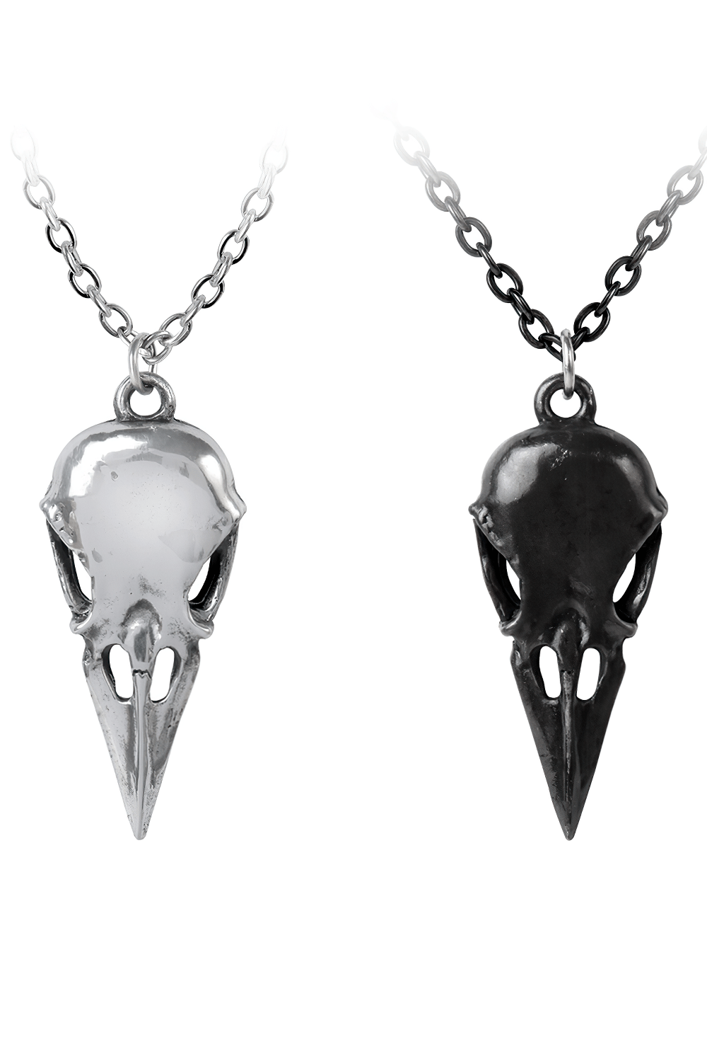 Gothic Raven Skull Double Pendant with Dual Chains