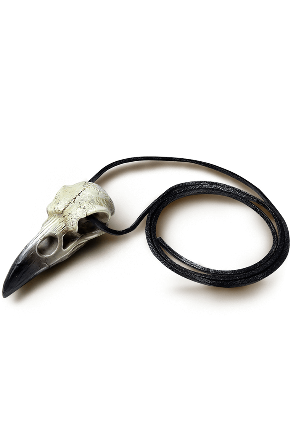 Reliquary Raven Skull Pendant Talisman for Ritual Use