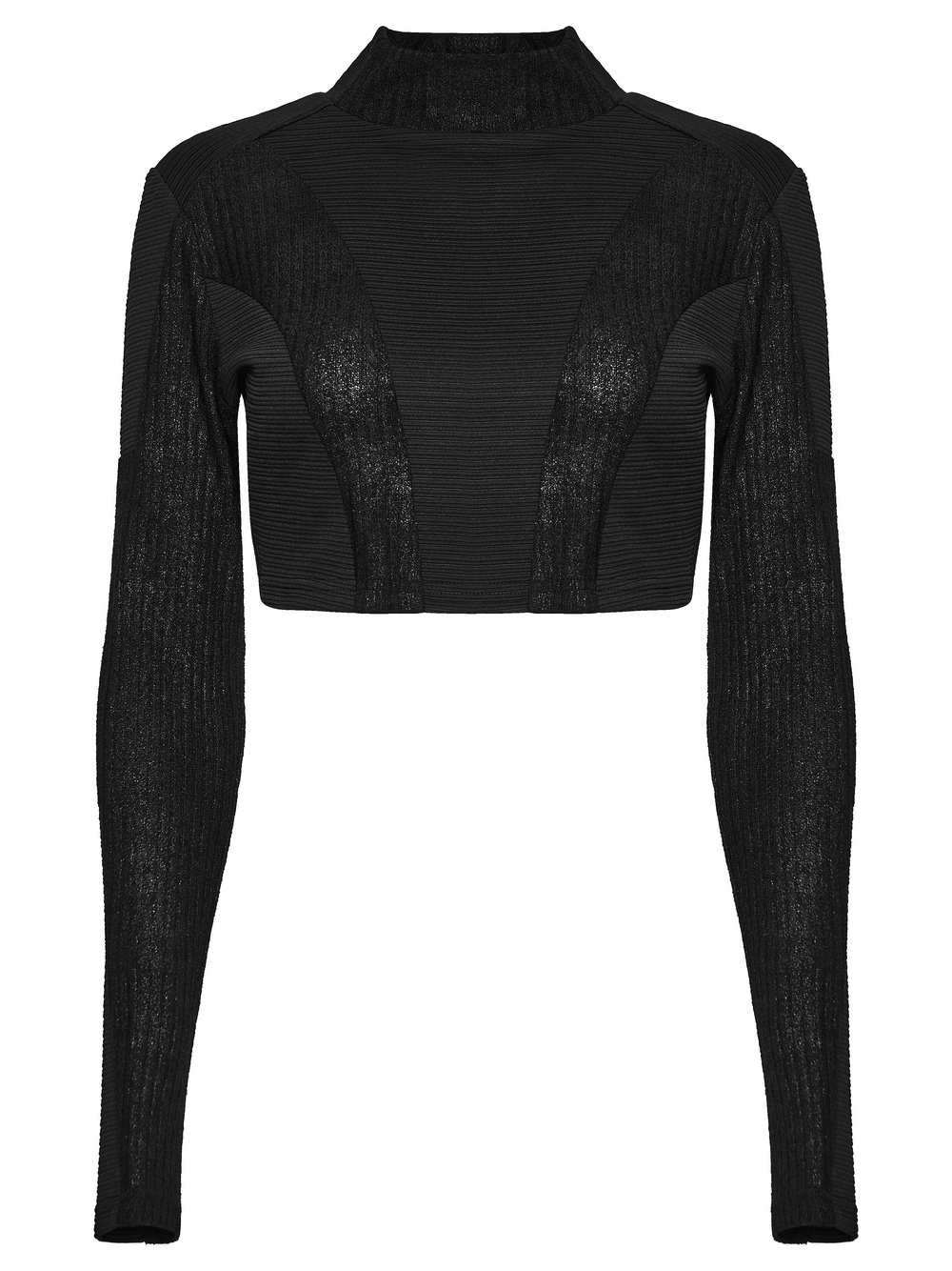 Black Gothic Cropped Top with Sheer Panel Details