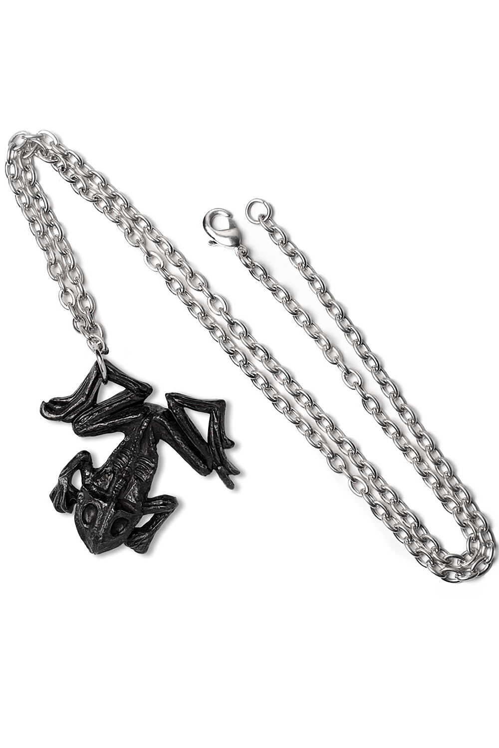 Gothic Dead Frog Talisman Pendant with Pewter Chain