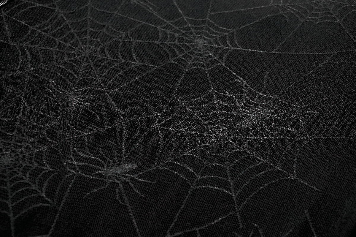 Spiderweb Lace-Up Dress with Sheer Sleeves and Straps